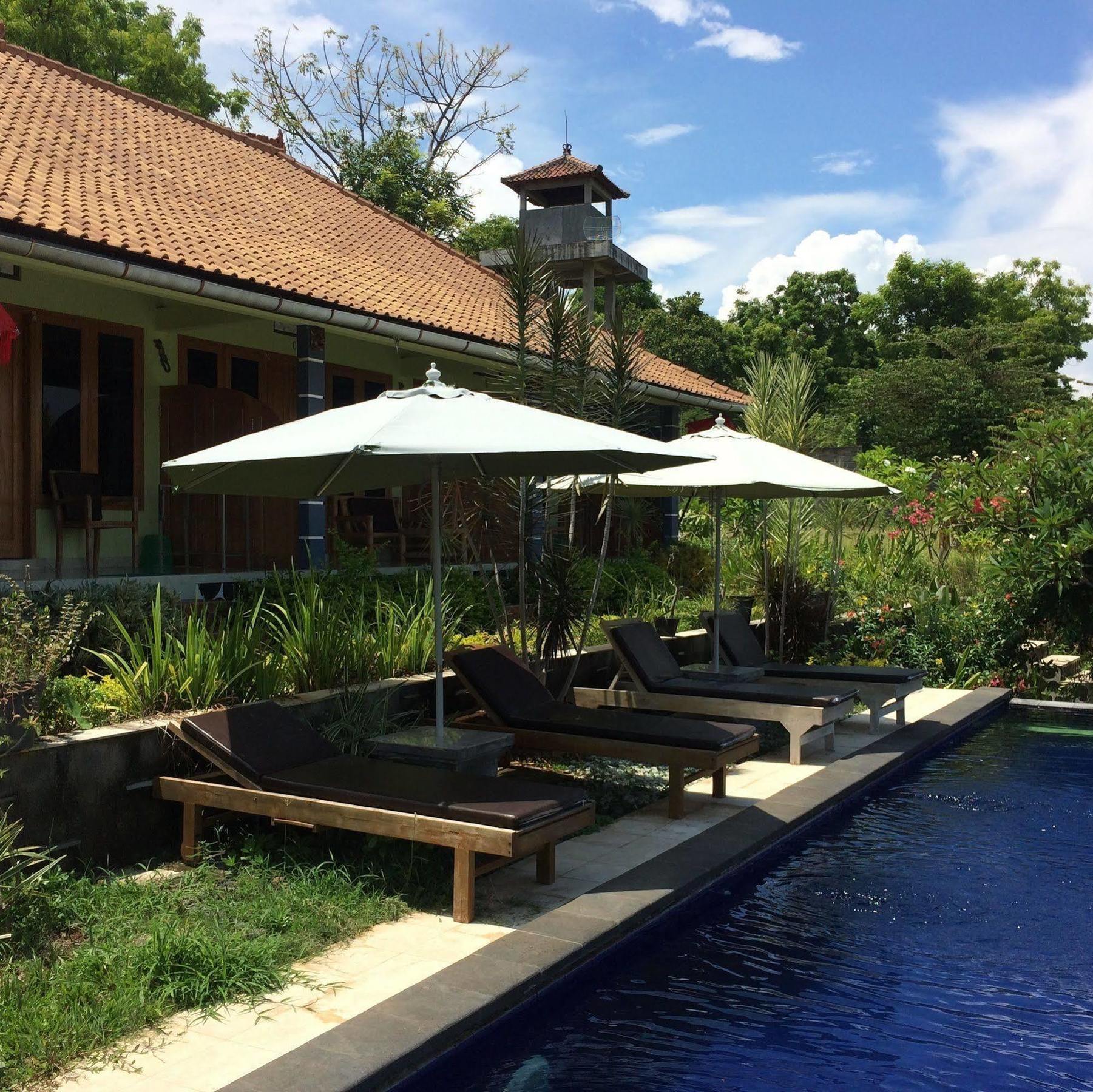 Bali Natur Lovina Esterno foto