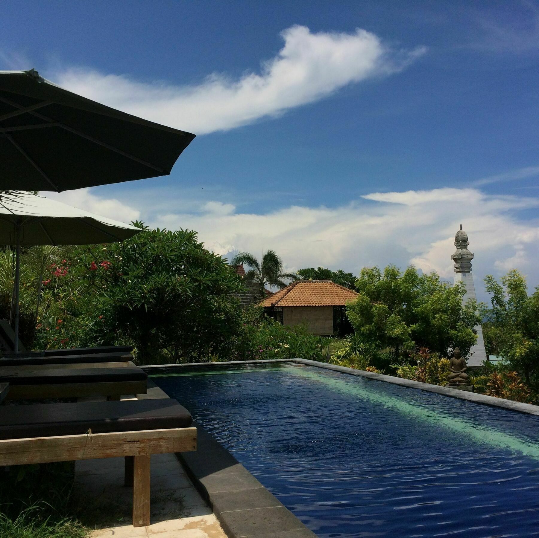 Bali Natur Lovina Esterno foto